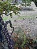 20211105_084857.jpg