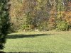 0B2354AC-27BA-4770-B208-3AB960BF8604.jpeg