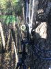 Image1636227830.250756.jpg