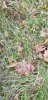 20211109_105853.jpg