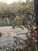 IMG_2449.jpg