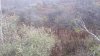 20211110_070846.jpg