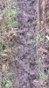 20211110_085252.jpg