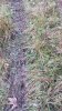 20211110_085140.jpg