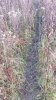 20211110_085115.jpg