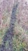 20211110_085106.jpg