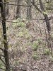 0733EB2B-820F-4C74-AD09-59C669E98E0D.jpeg