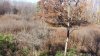 20211110_104907.jpg