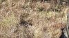 20211110_104832.jpg