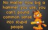 Commonsense.jpg