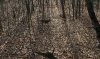 IMG_20211111_093040.jpeg