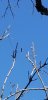 Screenshot_20211111-203428_Gallery.jpg
