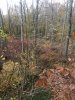 D7EABCFB-DAFF-4CC2-B8CB-93696FD8EEE3.jpeg