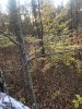 95AF7376-DE36-4B06-AA84-51729D36E8D0.jpeg
