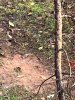 Image1636722877.649689.jpg
