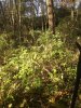 20211112_091148.jpg