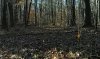 IMG_20211112_143237.jpeg