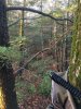 D06A7C53-F88B-4643-A071-F07AD531CF21.jpeg