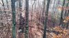 20211113_081344.jpg