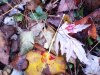 20211113_090614.jpg