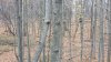 20211113_095623.jpg