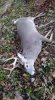 FB_IMG_1636843977509.jpg