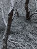20211114_081032.jpg