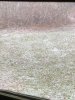 IMG_2339.JPG