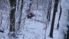 20211115_070302.jpg