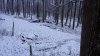 20211115_070236.jpg