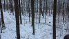 20211115_070225.jpg