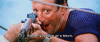 jaws-shark.gif