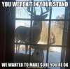 user30356_pic11582_1637017286.jpg