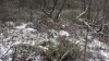 20211119_072736.jpg