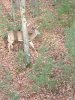 IMG_20211120_083855742.jpg
