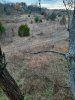 20211120_160949.jpg