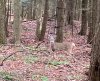 Image1637460320.426964.jpg