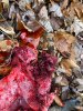Image1637460535.247470.jpg