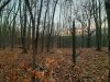 20211121_170114.jpg
