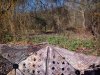 20211124_104244.jpg