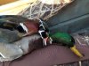 20211123_075818.jpeg