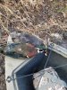 20211125_082644.jpeg