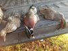 20211111_081951.jpeg