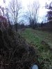 IMG_20211125_155501.jpeg