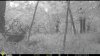 Resized_GEN60255.jpeg