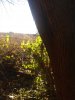 20211126_091154.jpg