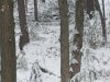 IMG_20211127_143122102.jpg
