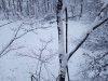 20211127_153707.jpg