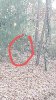 20211203_072357.jpeg
