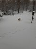 20211205_094220.jpg